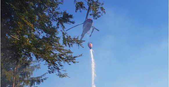 Waldbrand in Heiligengeist !